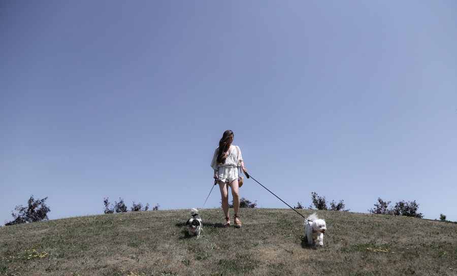 thatsotee-toronto-richmond-green-park-11-puppies