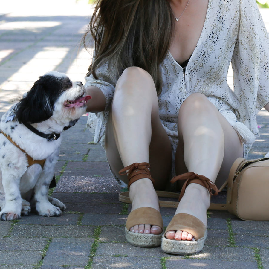 thatsotee-toronto-richmond-green-park-7-puppy