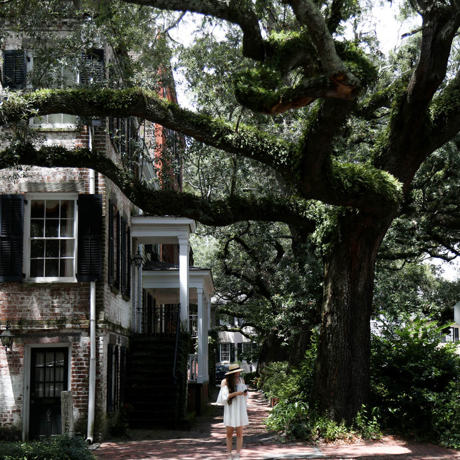 savannah-georgia-jones-street-2