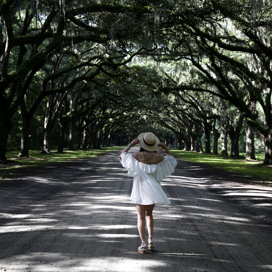 savannah-georgia-wormloe